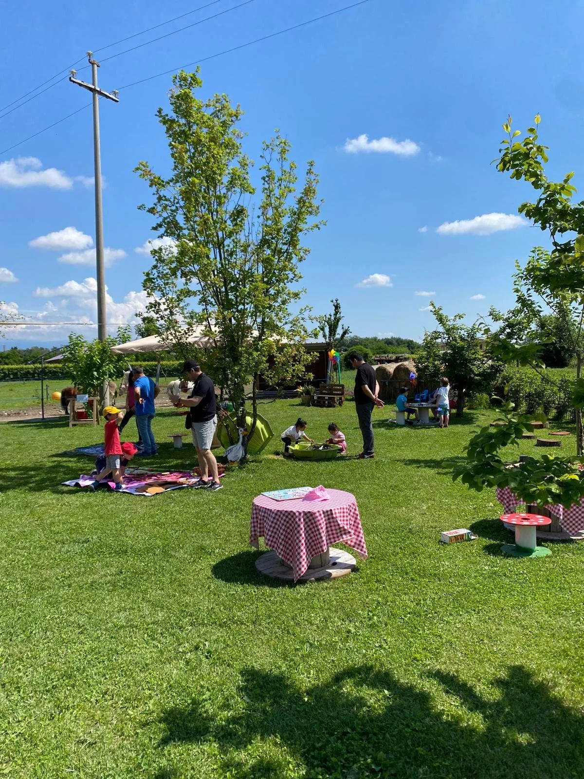 Compleanno in fattoria