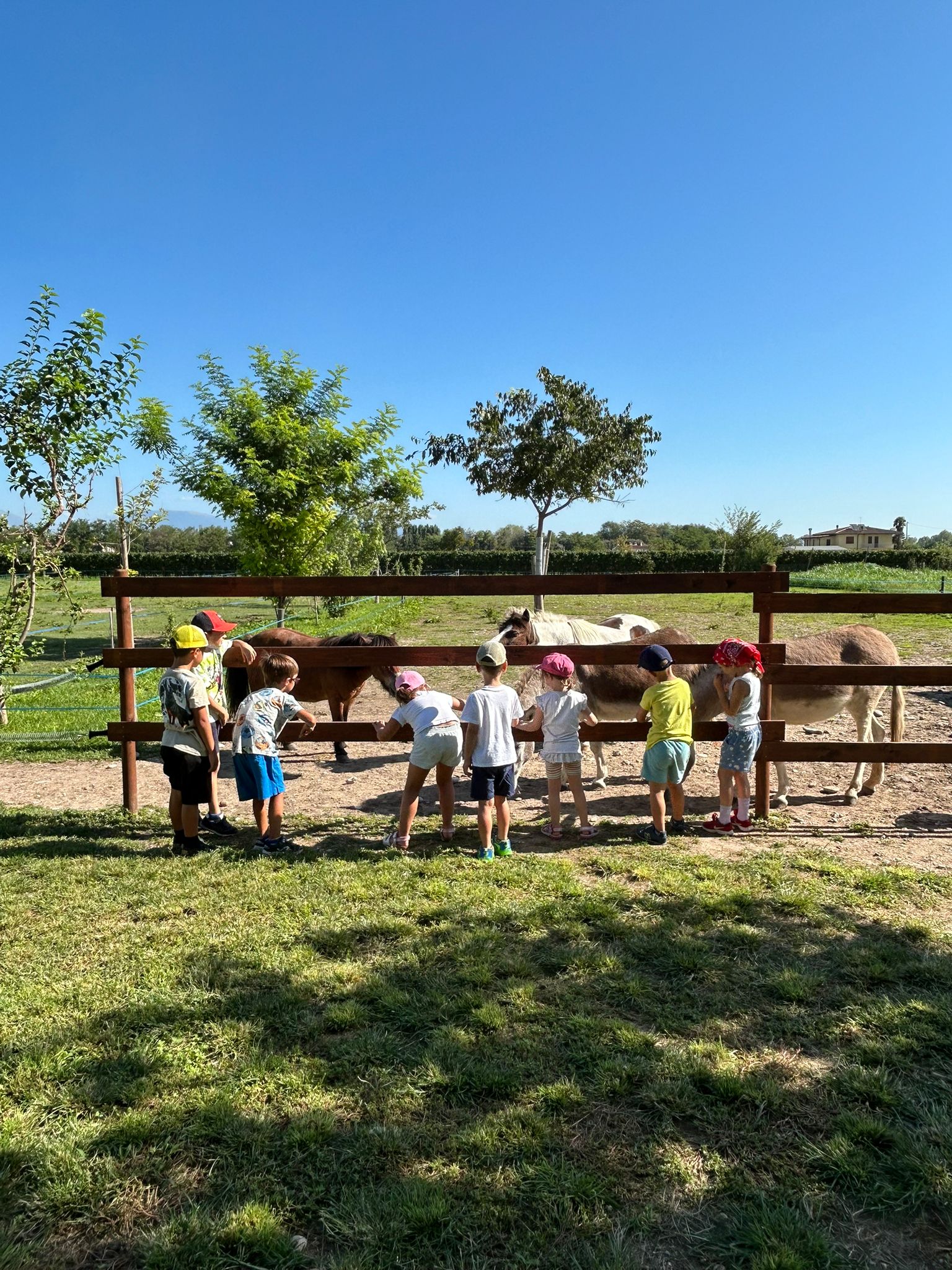 Bambini accarezzano un pony in fattoria