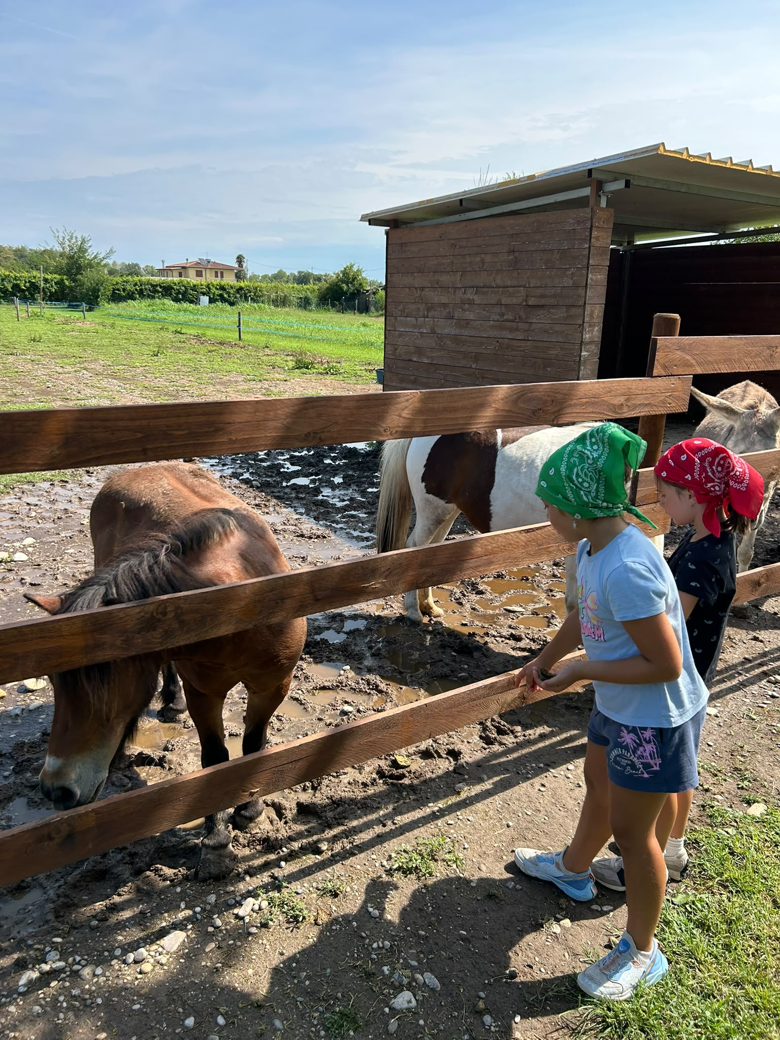 Attività didattiche in fattoria
